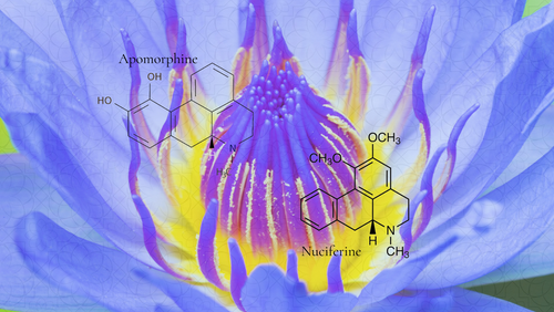 What science says about blue lotus