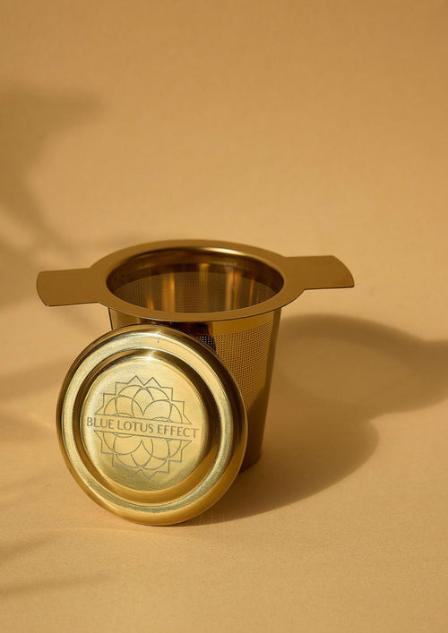 Fine Mesh Gold Filter Tea Strainer